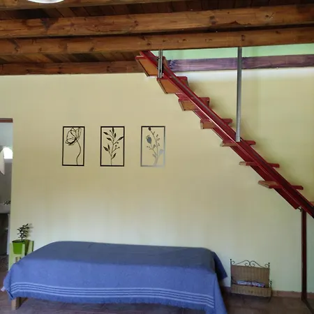 Apartamento La Constancia De La Colonia Julia Y Echarren Río Colorado Exterior foto